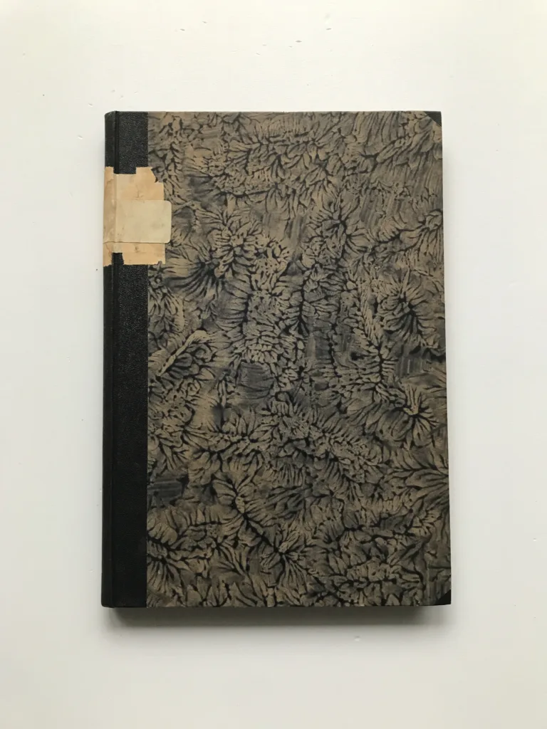 Národopisný sborník českoslovanský (Svazek první), František Pastrnek, kolektiv autorů