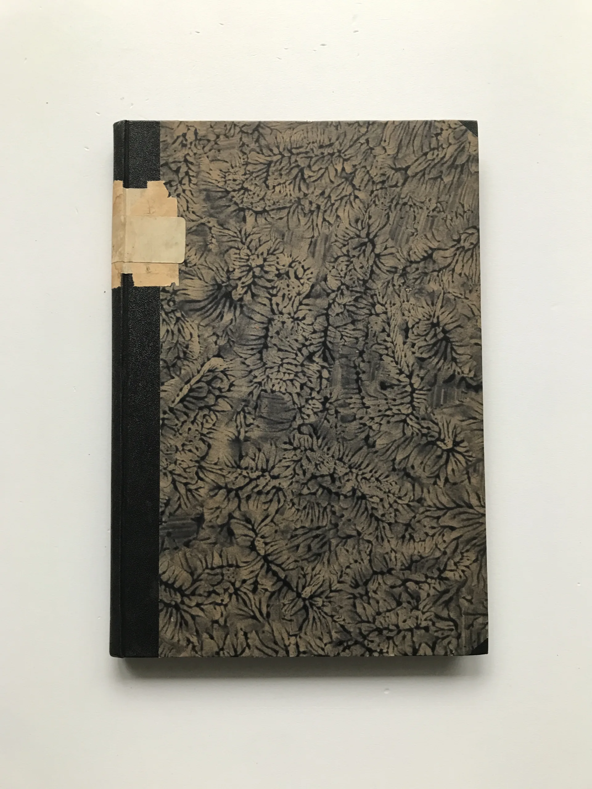 Národopisný sborník českoslovanský (Svazek první), František Pastrnek, kolektiv autorů