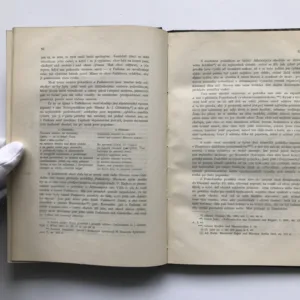 Národopisný sborník českoslovanský (Svazek první), František Pastrnek, kolektiv autorů