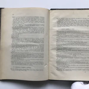 Národopisný sborník českoslovanský (Svazek první), František Pastrnek, kolektiv autorů