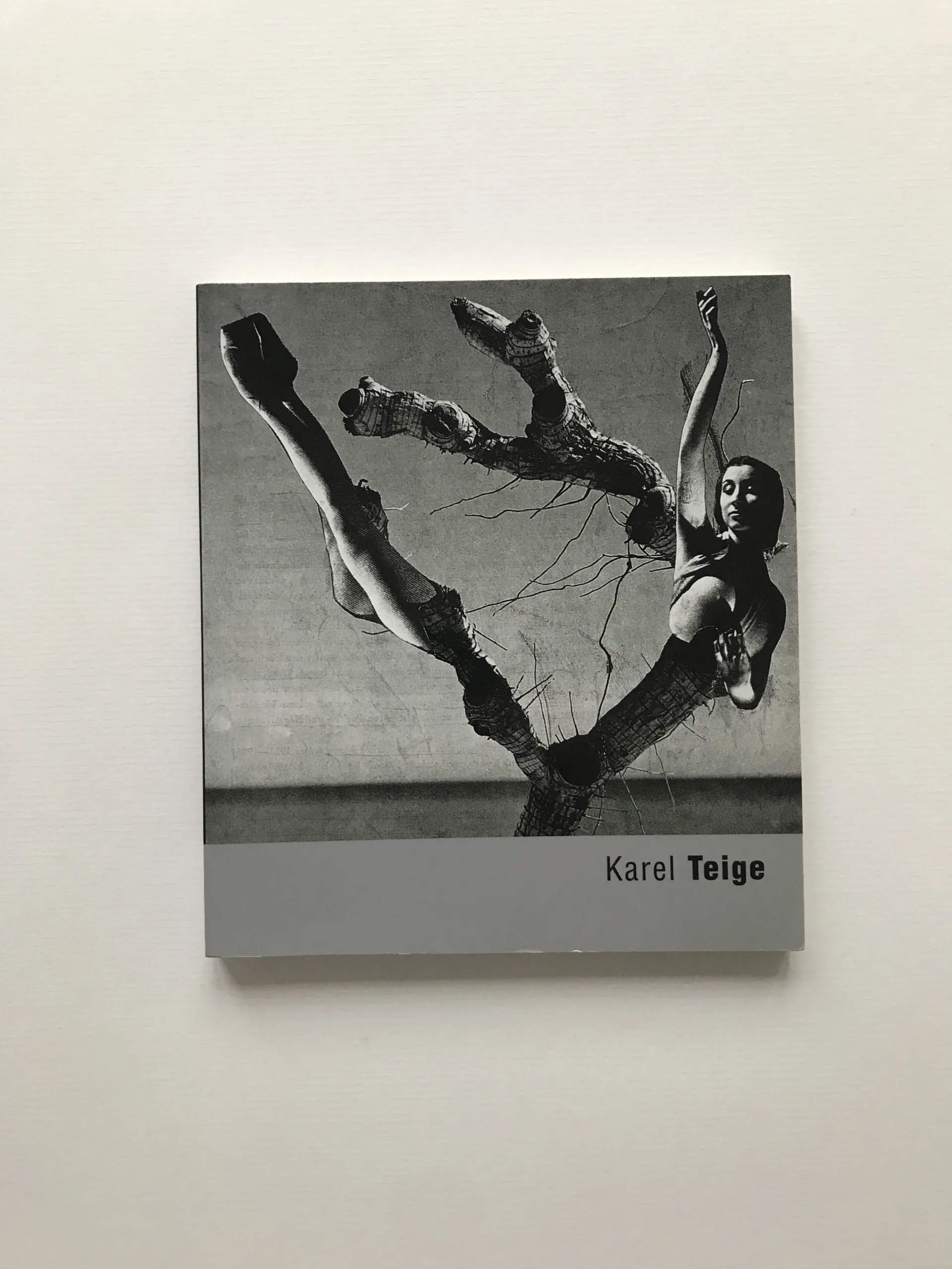 Karel Teige, Karel Srp