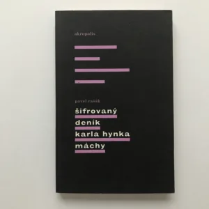 Šifrovaný deník Karla Hynka Máchy, Pavel Vašák