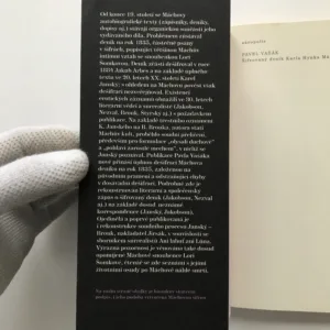 Šifrovaný deník Karla Hynka Máchy, Pavel Vašák