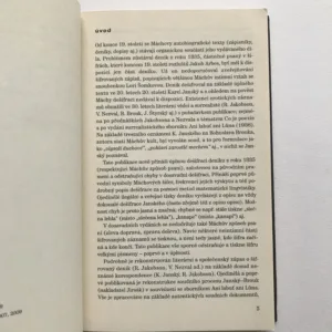 Šifrovaný deník Karla Hynka Máchy, Pavel Vašák