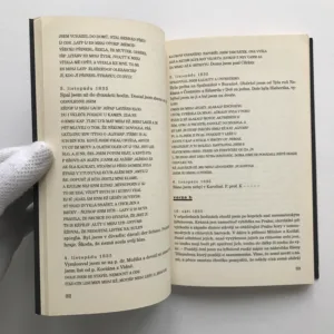 Šifrovaný deník Karla Hynka Máchy, Pavel Vašák