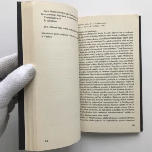 Šifrovaný deník Karla Hynka Máchy, Pavel Vašák