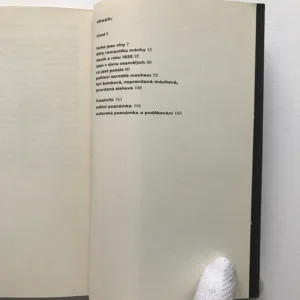 Šifrovaný deník Karla Hynka Máchy, Pavel Vašák