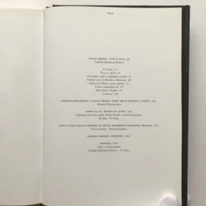 Václav Brožík (1851-1901), Naděžda Blažíčková-Horová