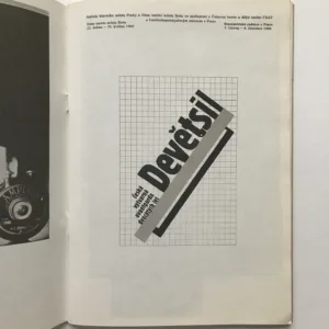 Devětsil – Česká výtvarná avantgarda dvacátých let, František Šmejkal, Rostislav Švácha, Jan Rous