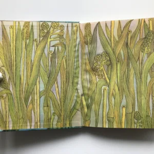 O víle Amálce a žabce Márince, Václav Čtvrtek, Olga Čechová