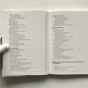 Rožmberkové. První po českém králi, Pavel Juřík