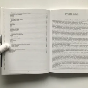 Rožmberkové. První po českém králi, Pavel Juřík