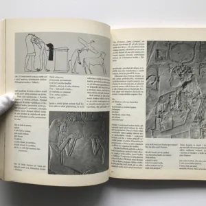 Vzestup bohyně Hathor (Moc bohyně ve starověkém Egyptě), Alison Robertsová