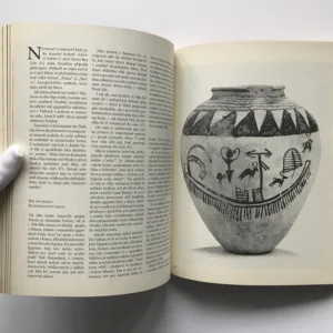 Vzestup bohyně Hathor (Moc bohyně ve starověkém Egyptě), Alison Robertsová