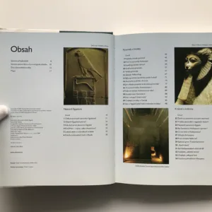 Sedmdesát záhad starověkého Egypta, Bill Manley