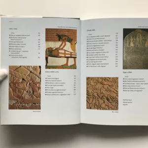 Sedmdesát záhad starověkého Egypta, Bill Manley