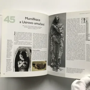 Sedmdesát záhad starověkého Egypta, Bill Manley