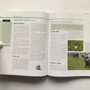 Hrajte lépe golf (Golfová akademia PGA National), Mike Adams, T. J. Tomasi