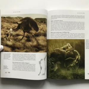 Pravěké obludárium, Bořivoj Záruba, Jan Sovák
