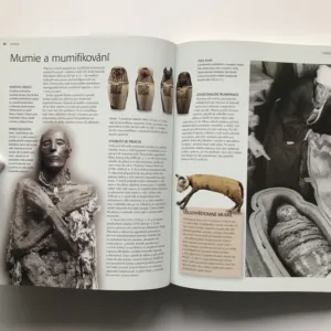 Archeologie (Nejvýznamnější naleziště a kulturní poklady světa), Aedeen Creminová