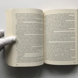 Katedrála moře, Ildefonso Falcones