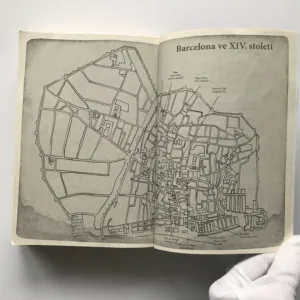 Katedrála moře, Ildefonso Falcones