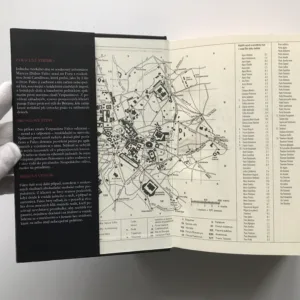 Ztracené stříbro / Bronzové stíny / Měděná Venuše (Omnibus), Lindsey Davisová