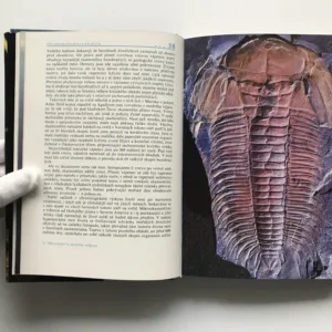 Život na zemi, David Attenborough