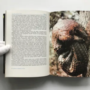 Život na zemi, David Attenborough