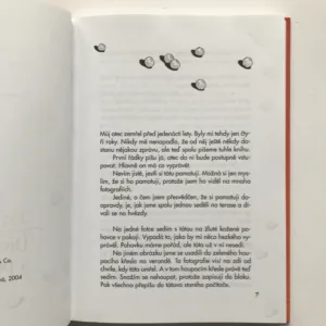 Dívka s pomeranči, Jostein Gaarder