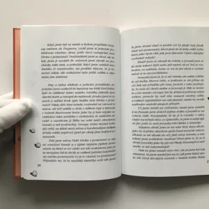 Dívka s pomeranči, Jostein Gaarder