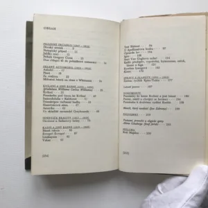 Kvílení, Allen Ginsberg