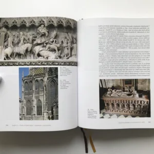 Karel IV. (Císař a český král – vizionář a zakladatel), Jiří Kuthan, Jan Royt