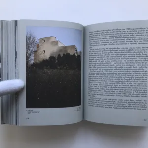 Od moderny k funkcionalismu, Rostislav Švácha