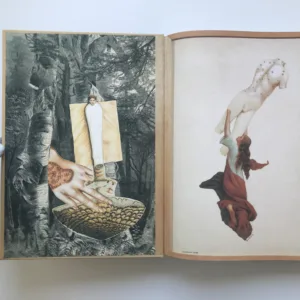 Český surrealismus 1929-1953, Lenka Bydžovská, Karel Srp