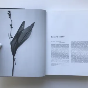 Jindřich Štyrský, Lenka Bydžovská, Karel Srp