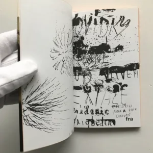 Povídky psané pod vlivem extáze, Frédéric Beigbeder