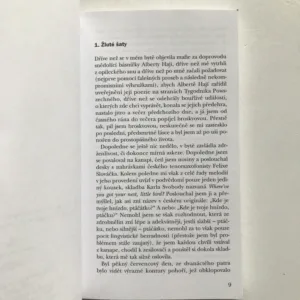 U strážnýho anděla, Jerzy Pilch