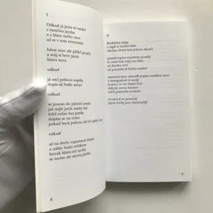 V novém světě, Zafer Senocak