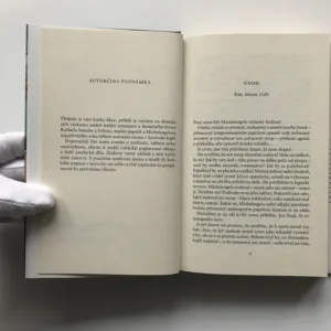 Raffael, malíř v Římě, Stephanie Storey