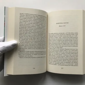 Raffael, malíř v Římě, Stephanie Storey