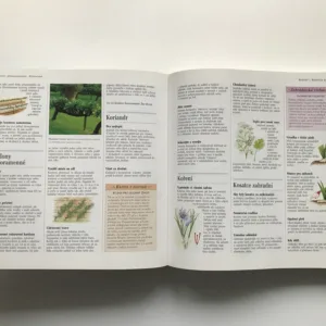 1000 nápadů a rad pro zahrádkáře