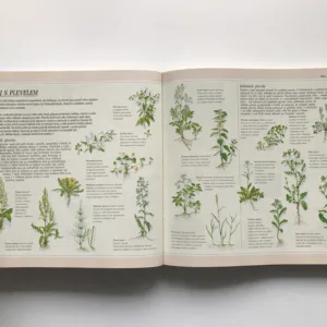 1000 nápadů a rad pro zahrádkáře