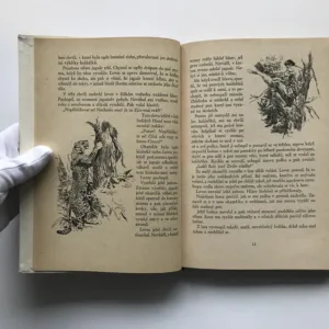 Strýček indián (Dobrodružství lovce v Gran Chaku), Alberto Vojtěch Frič, Zdeněk Burian