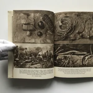 Strýček indián (Dobrodružství lovce v Gran Chaku), Alberto Vojtěch Frič, Zdeněk Burian