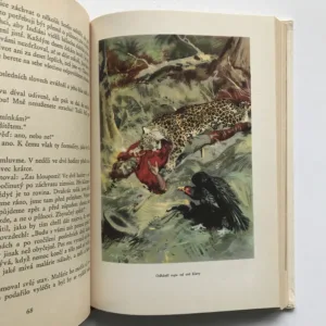 Strýček indián (Dobrodružství lovce v Gran Chaku), Alberto Vojtěch Frič, Zdeněk Burian