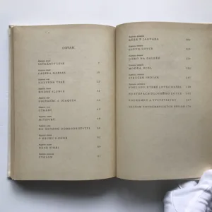 Strýček indián (Dobrodružství lovce v Gran Chaku), Alberto Vojtěch Frič, Zdeněk Burian