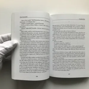 Chuďásek Boží (Život sv. Františka), Nikos Kazantzakis