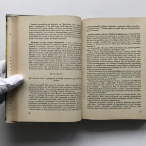 Náboženství v dějinách i v současnosti, kolektiv autorů