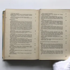 Náboženství v dějinách i v současnosti, kolektiv autorů